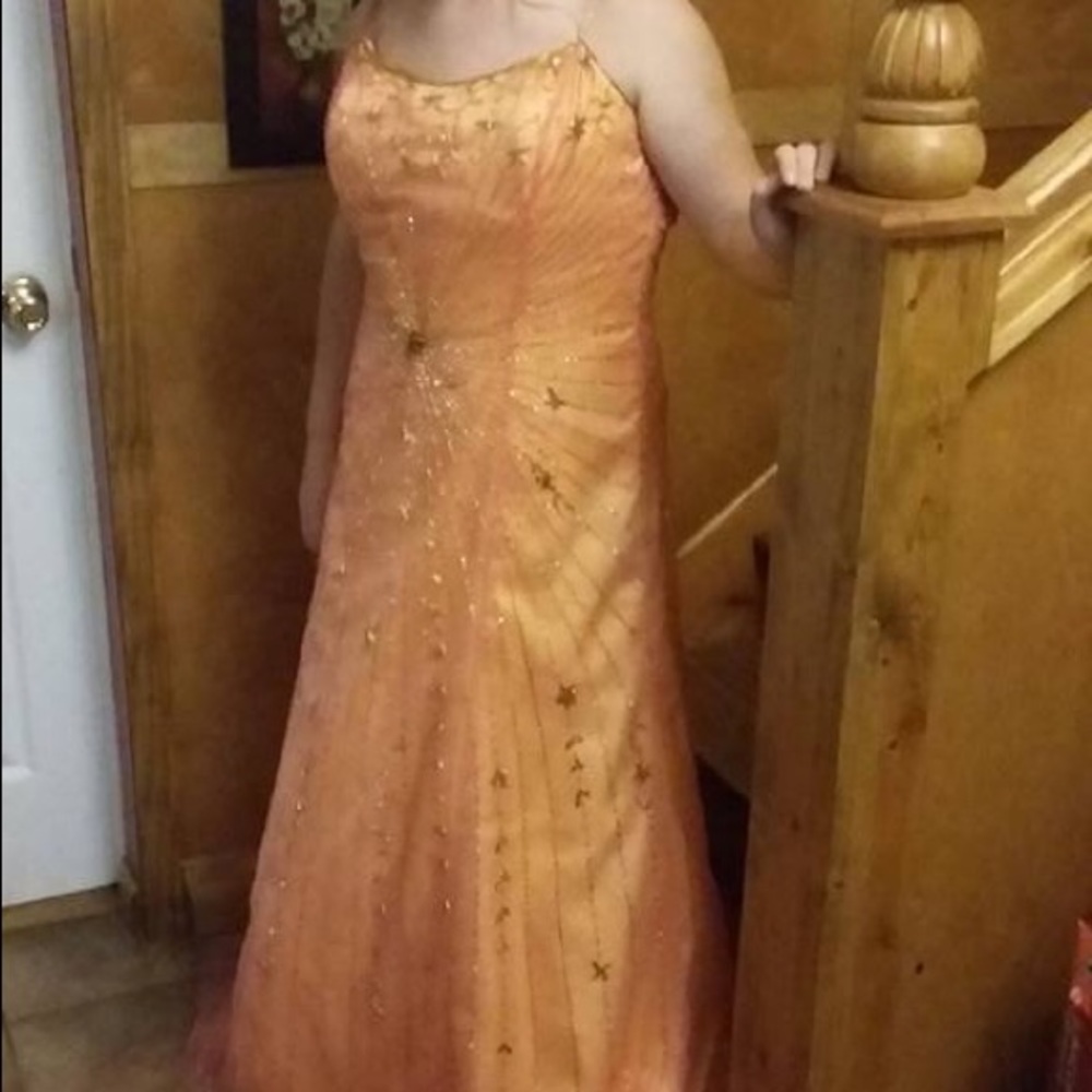 prom/pagent dress